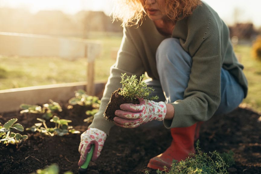 Home 7 Archaeology or Gardening? What Kind of Therapy Do I Need?